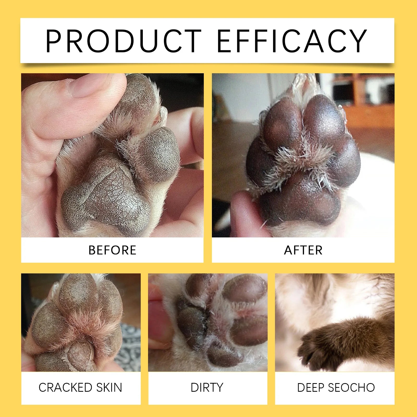 PawCare Elite