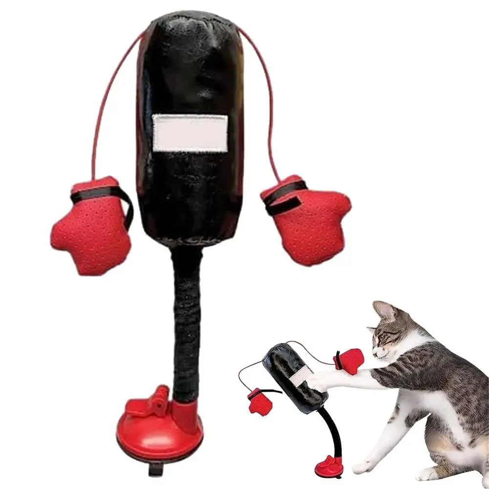 GatoBox EcoPunch: entretenimiento que mueve a todo pelaje