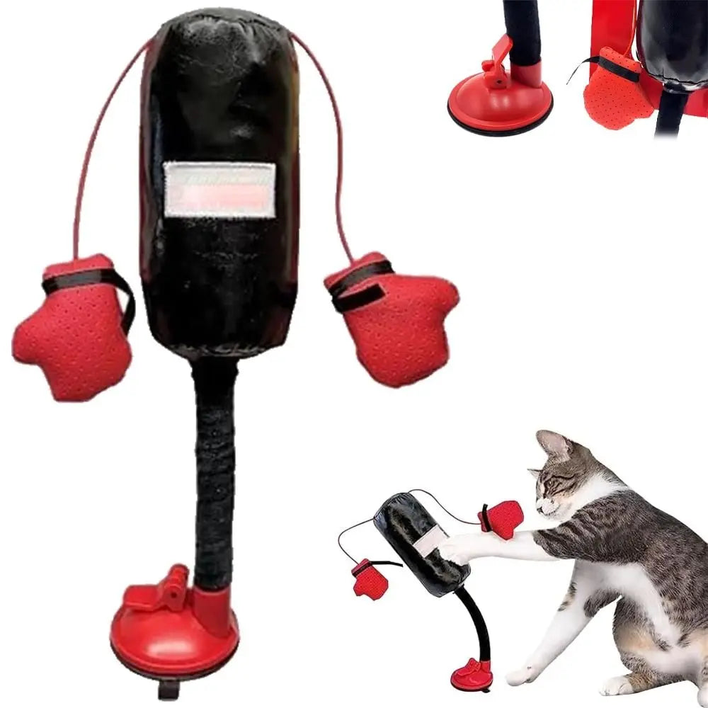 GatoBox EcoPunch: entretenimiento que mueve a todo pelaje